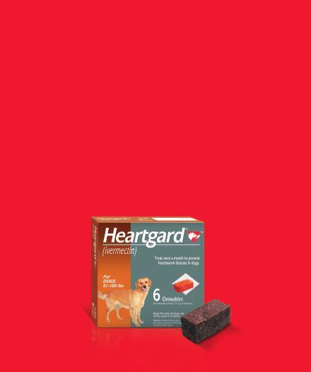 IMPORTANT SAFETY INFORMATION: HEARTGARD (ivermectin) is well tolerated.