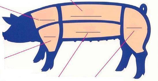 Species Specific Label the meat cut diagram that corresponds to your project