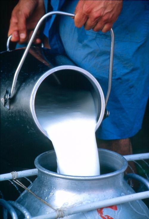 Efficient Milk Production