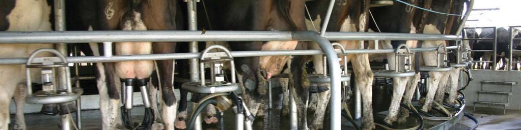 Improving reproduction in NZ dairy herds Scott McDougall, Tom Brownlie, Melvin de Boer,