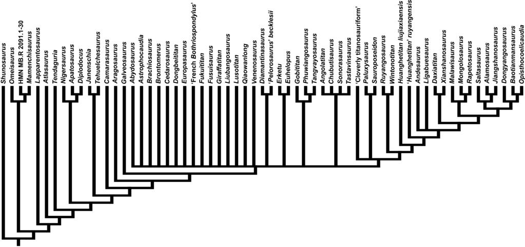 analysis of the Lusotitan standard discrete matrix. Figure 22.