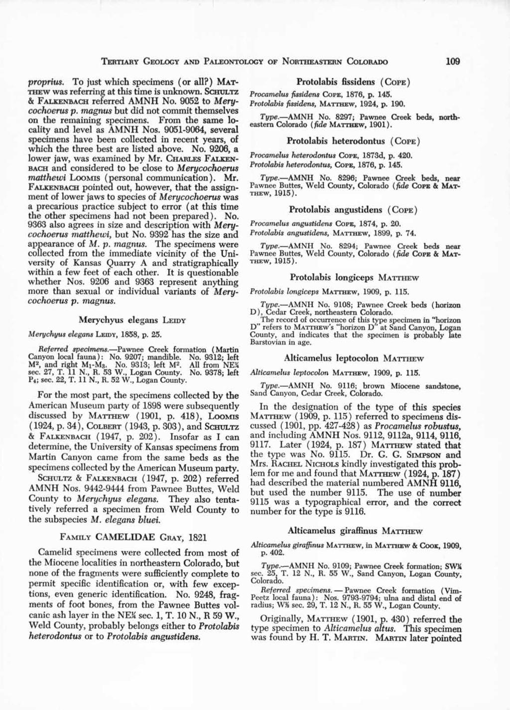TERTIARY GEOLOGY AND PALEONTOLOGY OF NORTHEASTERN COLORADO 109 proprius. To just which specimens ( or all?) MAT- THEW was referring at this time is unknown. SC:HULTZ & FALKENBACH referred AMNH No.