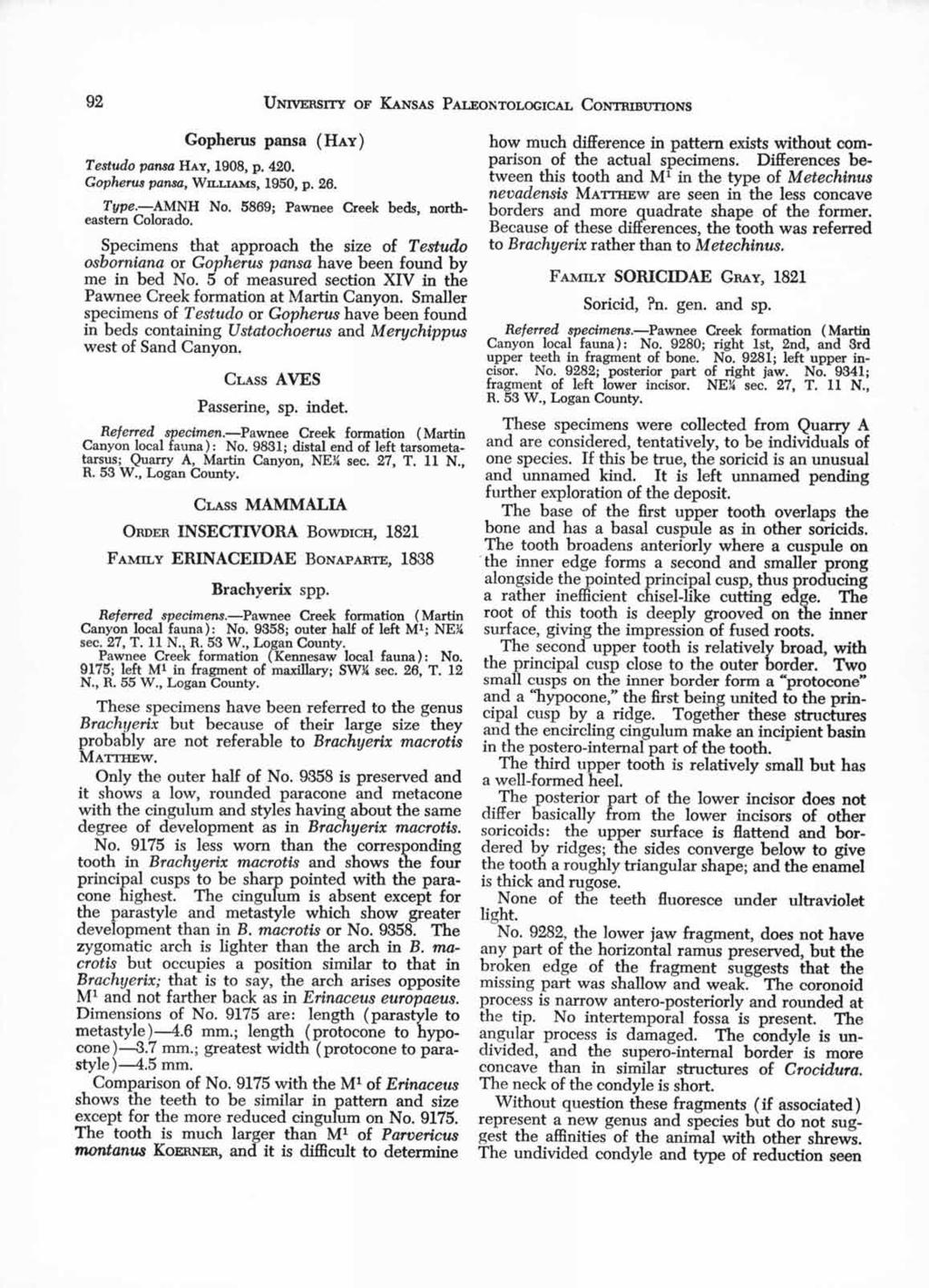 92 UNIVERSITY OF KANSAS PALEONTOLOGICAL CONTRIBTJTIONS Gopherus pansa ( HAY) Testudo pansa HAY, 1908, p. 420. Gopherus pansa, WILLIAMS, 1950, p. 26. Type. AMNH No.