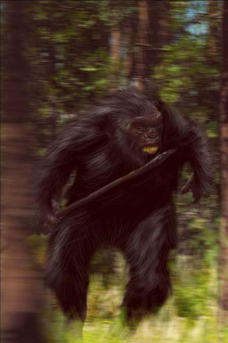 90 them+us A creature that looks like an athletic gorilla but uses complex weapons to hunt its prey is so foreign and counterintuitive it has hampered our