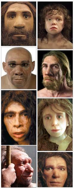 the creature revealed 81 A sample of computergenerated and threedimensional models of Neanderthals all reveal the same anthropomorphic bias.