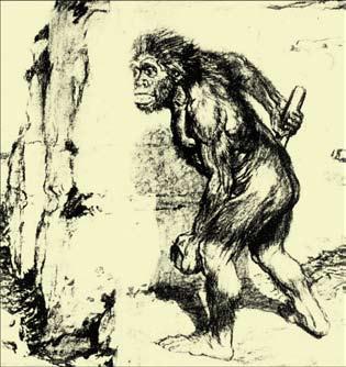 the creature revealed 85 A surprisingly accurate 1909 depiction of a Neanderthal by Frantisek Kupka for the Illustrated London News. it is impossible to say what colour its face is.