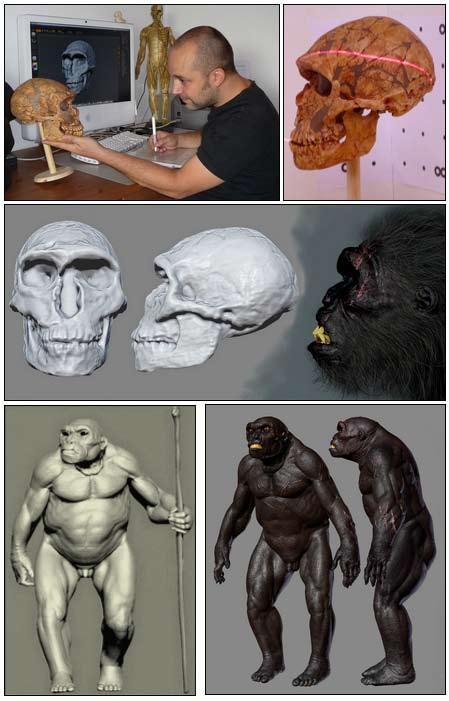 the creature revealed 87 The forensic reconstruction of the La Ferrassie Neanderthal began with a computer scan of its