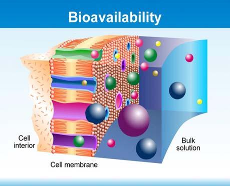 biological membrane