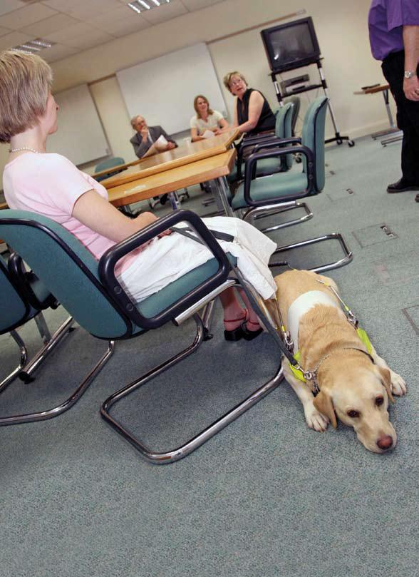 Guide Dogs in