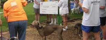 However, in late March, a call was received announcing that Alimagnet Dog Park came in third place and won a $10,000 grant!