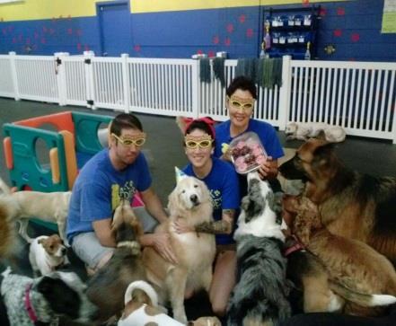 Thank you for the pictures of your kids after a day at ODDC please continue to send them to info@ohanadoggiedaycare.net and we will post them on facebook. Also please follow us on instagram.