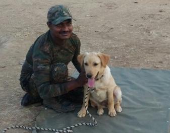 1 2 3 4 5 6 7 TRAFFIC Post TRAFFIC's Super Sniffer Squad in India crosses half century mark; 13 more join the brigade and 12 new dog sqauds begin their training hirteen wildlife sniffer dog squads