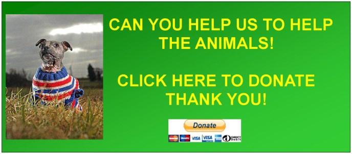 Your help has never been more needed We rely massively on donations and without them we could not continue. Animal care spends up to 5,000 a month on vet bills alone.