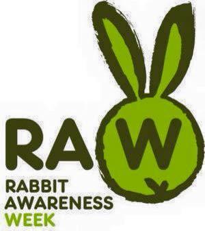 rabbit room, we always have lots of needy rabbits in need of a new start and we