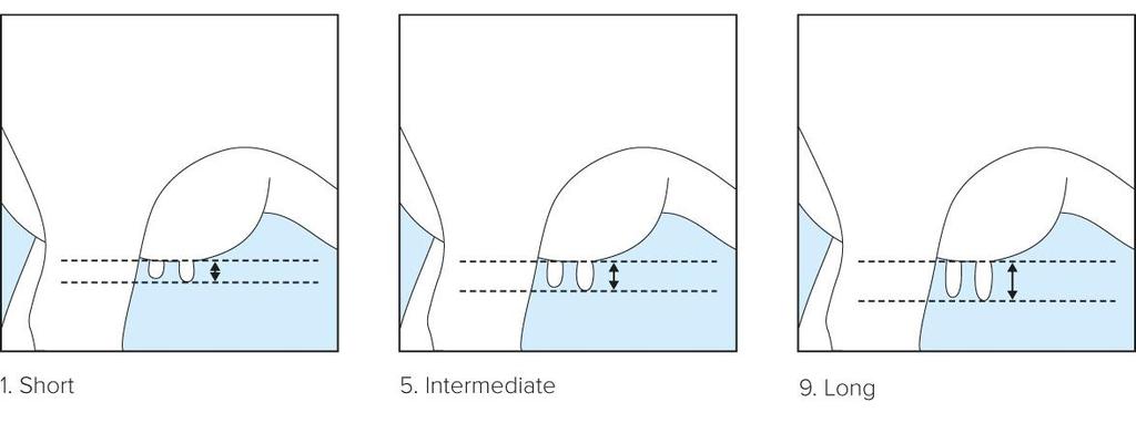17. Front Teat Placement Ref. Point: The position of the front teat from the centre of quarter as viewed from the rear. 1 Outside of quarter 5 Intermediate 9 Inside of quarter 18. Teat Length Ref.