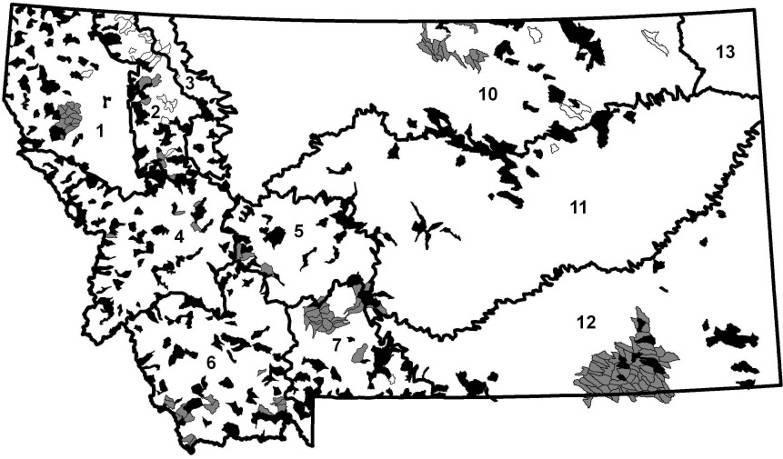 Tiger Salamander (Ambystoma tigrinum) Occupancy Rates * Some mass mortalities of larvae detected across eastern MT -
