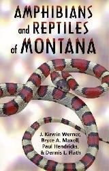 Links to Information Resources on Montana s Amphibians and Reptiles http://mtnhp.