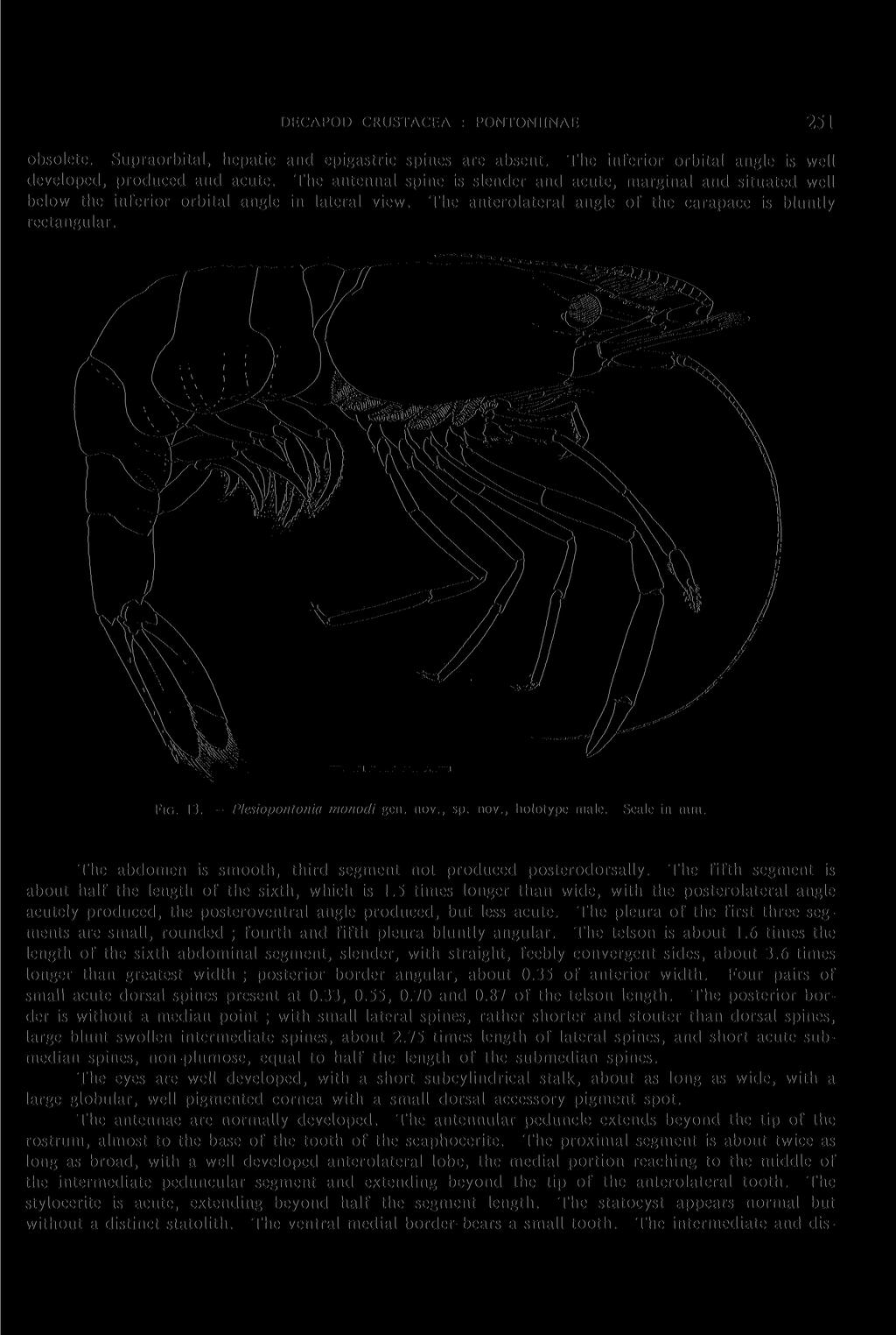 DECAPOD CRUSTACEA : PONTONIINAE 251 obsolete. Supraorbital, hepatic and epigastric spines are absent. The inferior orbital angle is well developed, produced and acute.