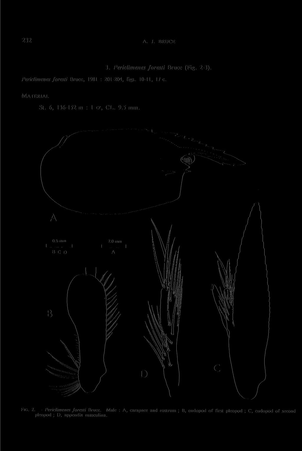 232 A. J. BRUCE 3. Periclimenes foresti Bruce (Fig. 2-3). Periclimenes foresti Bruce, 1981 : 201-204, figs. 10-11, 17 c. MATERIAL St. 6, 136-152 m : 1 cr, CL.