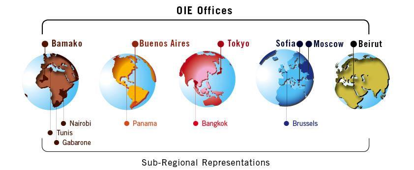 Governance structure of the OIE The regional and subregional offices These representations