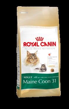 CAT Royal Canin Cat Dry