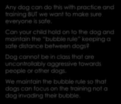 In other words, able to hold on to the leash, keep their dog in place, and maintain reasonable control (keeping space, not letting dog jump on people or dogs, not letting their dog in