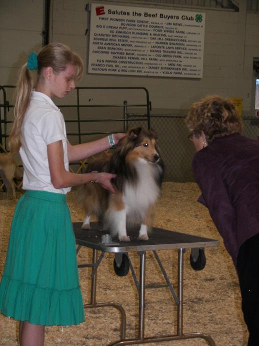 4-Hers learn dog general knowledge including