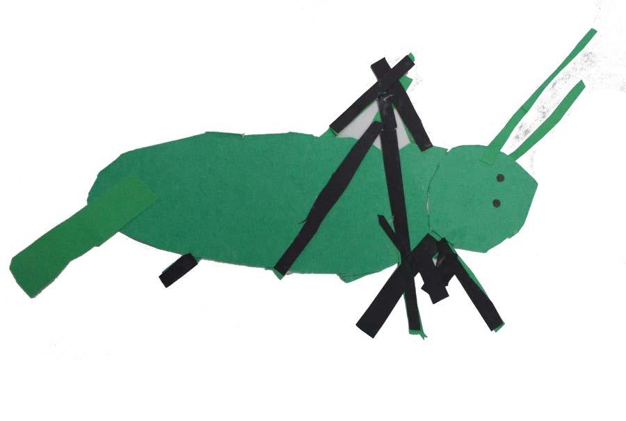 Long-Horn Green, eager Disturbing, frightening, embarrassing Antennae, katydid,