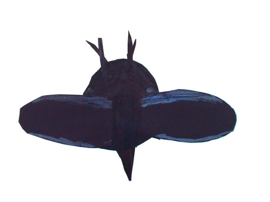 Moth Grey, black Shocking, charming, alarming Nectar, woods,