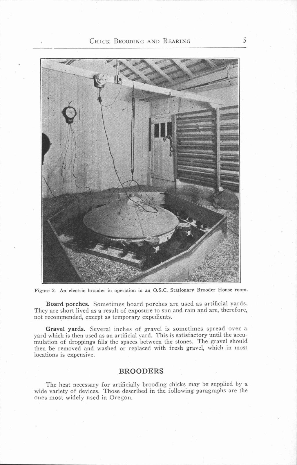CHICK BROODING AND REARING 5 Figure 2. An electric brooder in operation in an O.S.C. Stationary Brooder House room. Board porches. Sometimes board porches are used as artificial yards.