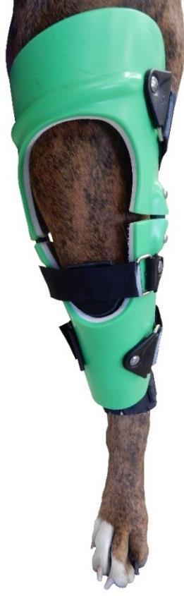 7) The front middle strap is pre-adjusted based on the model of the dog's leg. The white line indicates how tight the strap should be and it does not need to be changed.