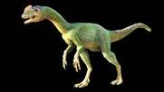 Tyrannosaurs rex Greek for tyrant lizard, Tyrannosaurs rex roamed across much of North America more than 66 million years ago. T. rex had a large, deep skull with powerful jaw muscles.