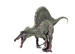 Spinosaurus Carnivorous