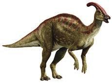 Parasaurolophus Herbivorous Dinosaur Triassic Jurassic Cretaceous