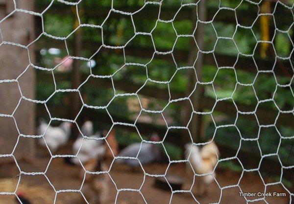 What to use instead of chicken wire The preferred wire