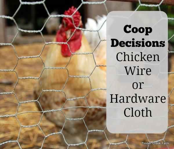 wire sticking out can cause scratches, eye injuries and cuts. Paying attention to coop safety will help your chickens lead a long and happy life!