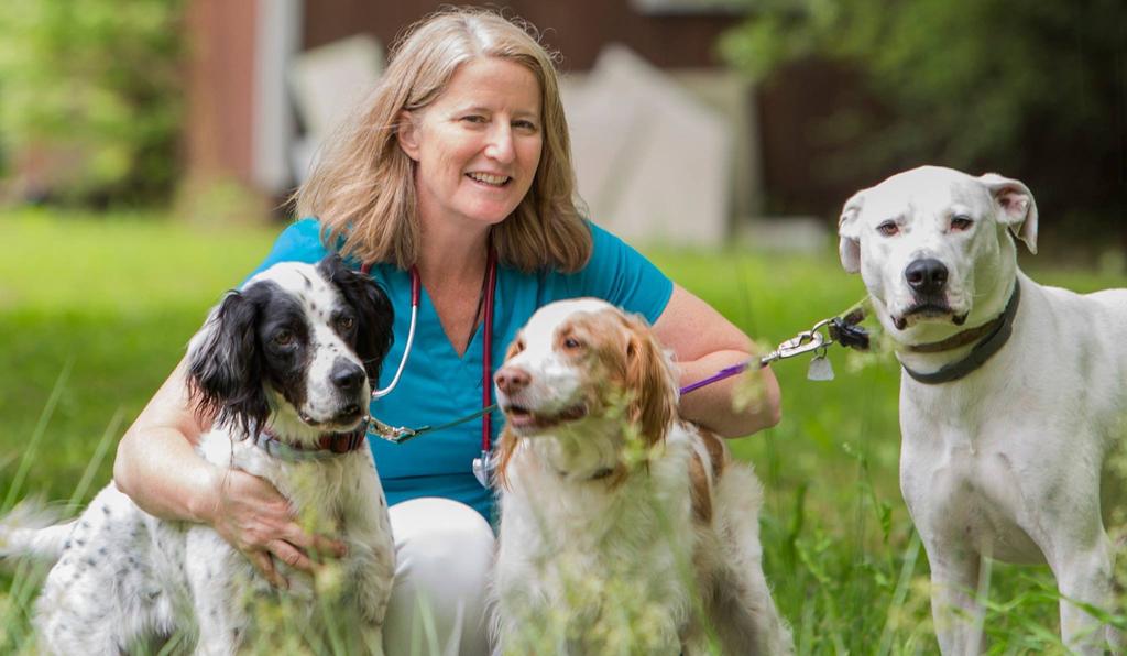I m Dr. Ruth Roberts, and I am a holistic integrative veterinarian. Many of my clients come to my office with sick dogs and cats, and these pet owners don t know what caused the illness.