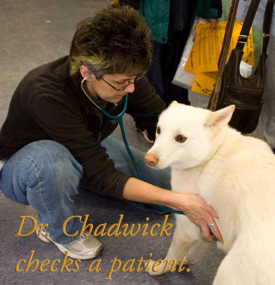 Our fabulous veterinarian Dr.