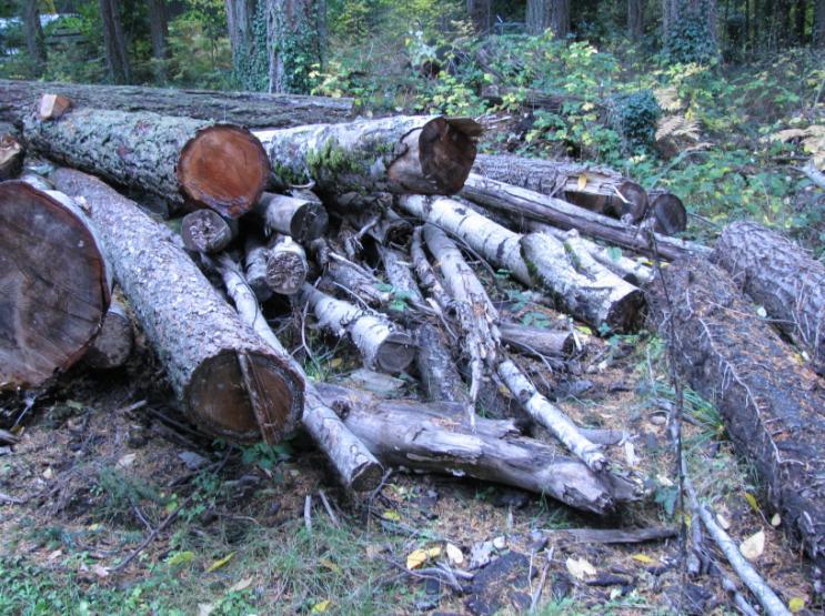 blind) Each log should be mapped with GPS Monitor use: record the date, time of the survey, survey conditions (weather at the time of the survey), basking