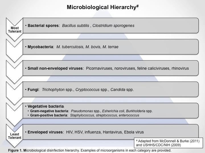 DISINFECTION HIERARCHY CONCEPT Ø Describes a general order of susceptibility of various classes of microorganisms to antimicrobial chemicals Ø