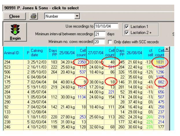 Review the cell count values for each cow at the last three milk recordings. In the example above Cow 294 has the highest SCC of 1,831,000 at the latest milk recording.