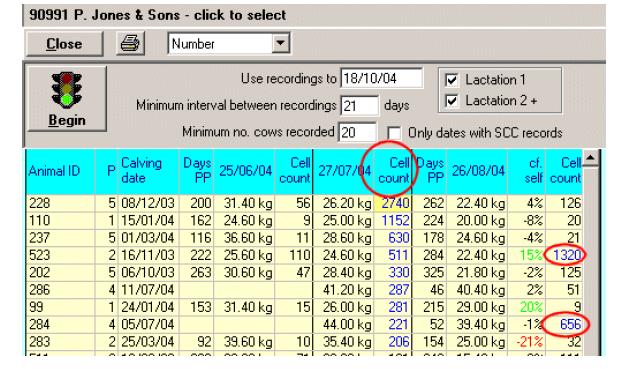 By contrast Cow 175 has certainly had a new infection (882,000) after 9,000 and 18,000 cells/ml in the previous two recordings. Question 11.