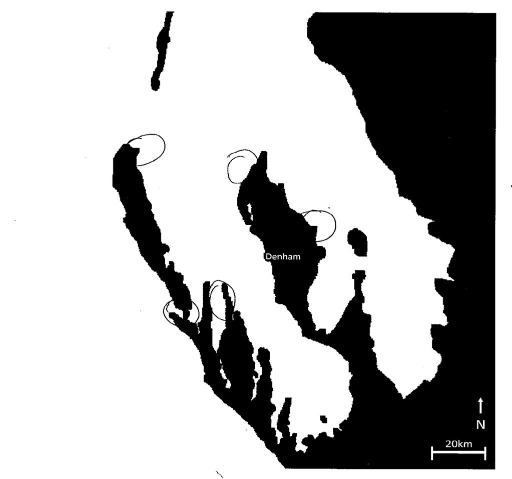 loggerheads are observed throughout the entire bay, yet there are some areas in which turtles are more prevalent (each circle ~ 120 km 2 ; Figure 8). These areas were consistent across respondents.