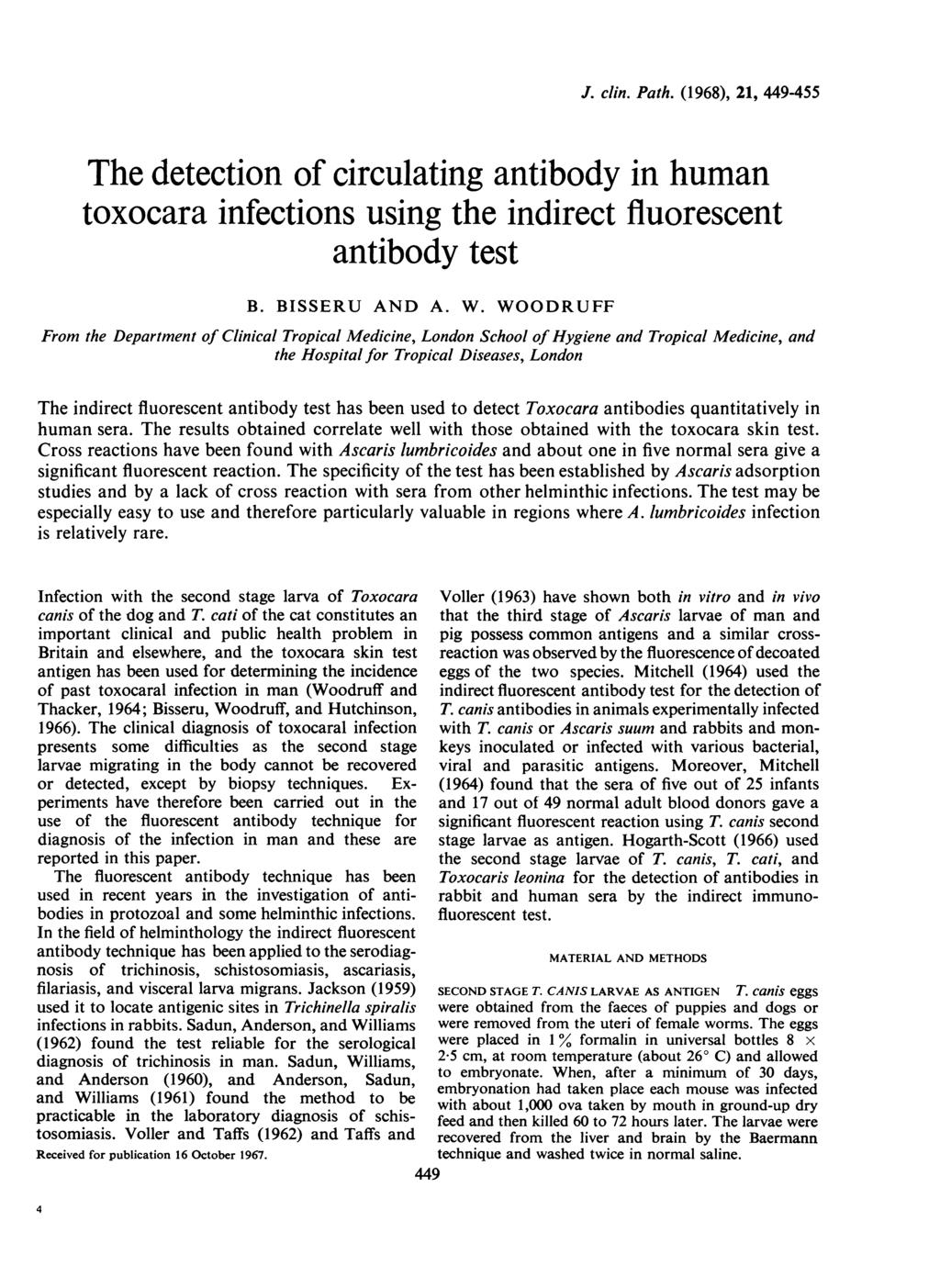 J. clin. Path. (1968), 1, 449-4 The detection of circulating antibody in human toxocara infections using the indirect fluorescent antibody test B. BISSERU AND A. W.