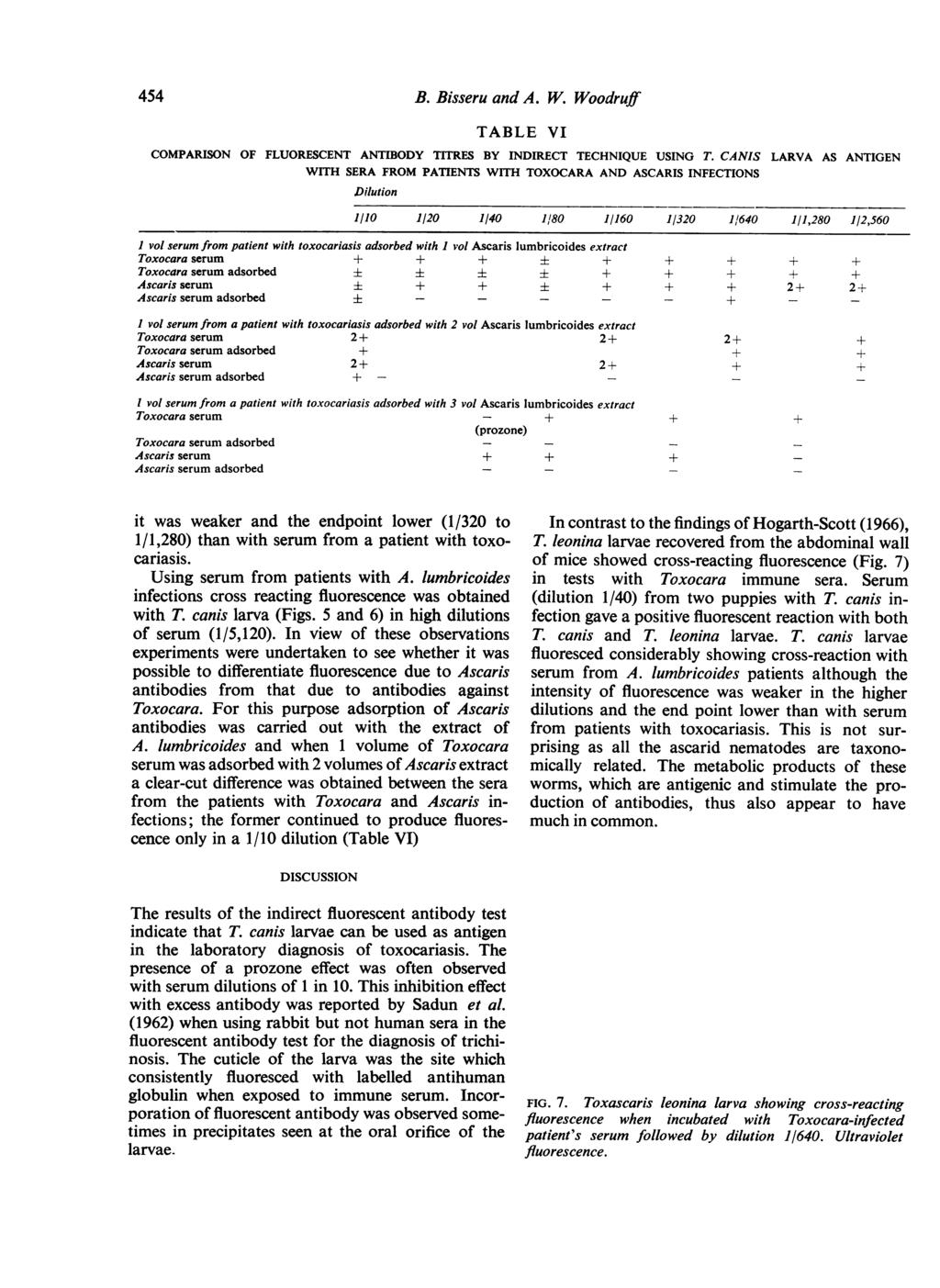 44 B. Bisseru and A. W. Woodruff TABLE VI COMPARISON OF FLUORESCENT ANTIBODY TITRES BY INDIRECT TECHNIQUE USING T.