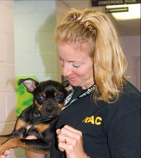 Sally will be receiving her award at the National Conference in St. Louis, Missouri in May. Sally is also the recipient of the Ingham County Animal Shelter s Hope Award.