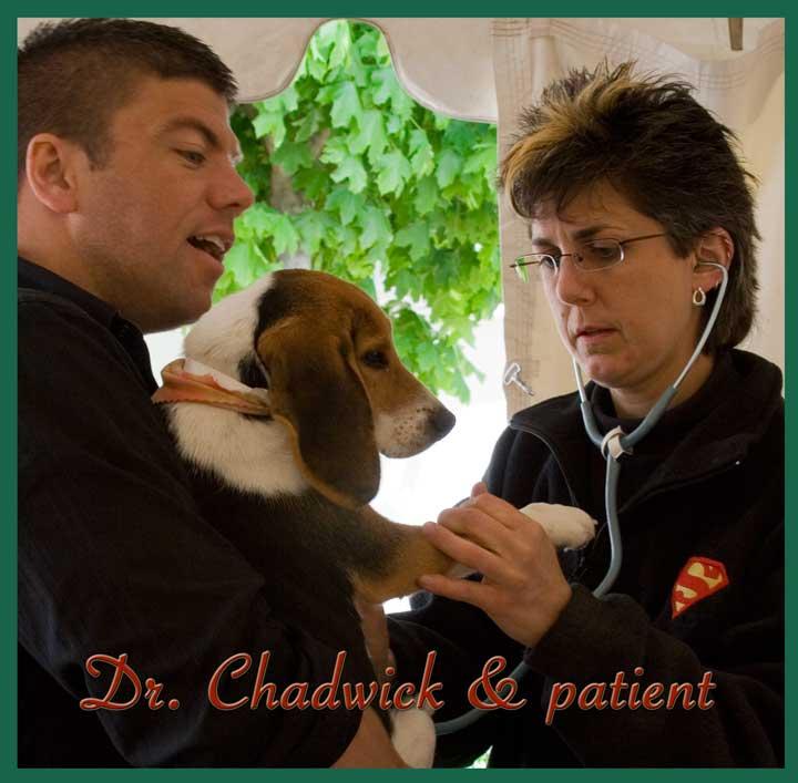 Chadwick examines 26 dogs, 18 cats; rebandage a nasty bullet wound on a hound dog, cleans out an ulcerated eye in a cat, see a dozen or more clients at MSU Small Animal Clinic, instruct pre-vet