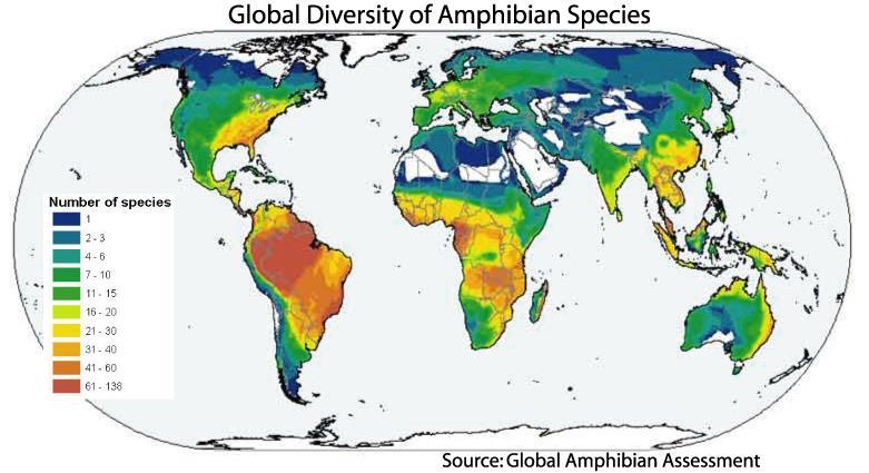 Amphibian Diversity - Most diverse in tropical