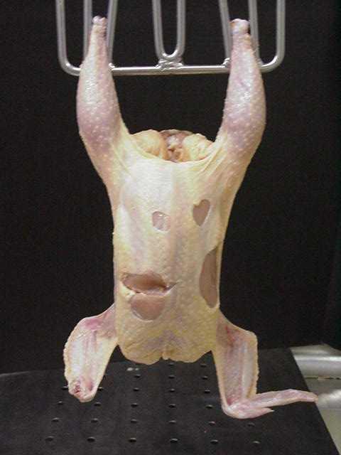 to-cook : Exposed Flesh Exposed Flesh on Breast Less than one-third of the