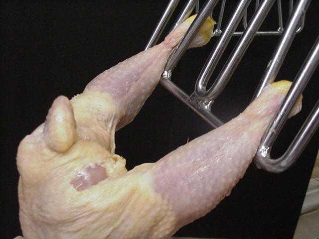 to-cook : Practice Exposed Flesh on Thigh